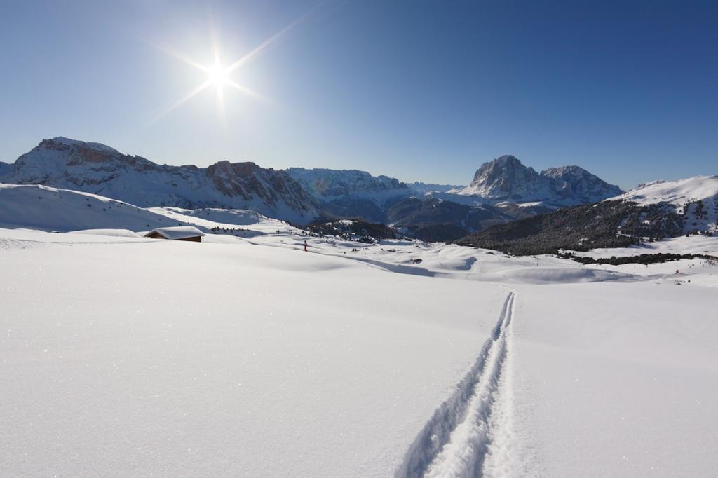 Santa Cristina Val Gardena Apartments La Baita מראה חיצוני תמונה